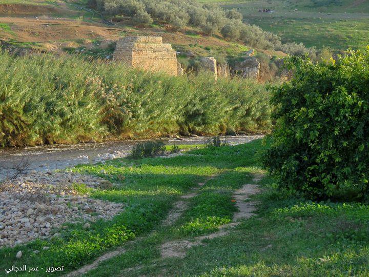 صورة المنشور